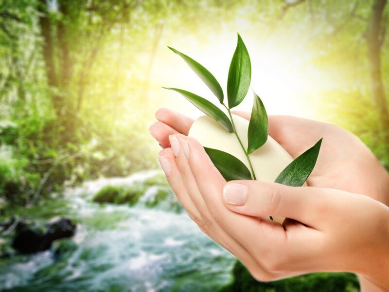 Hands Holding Leaf and Soap