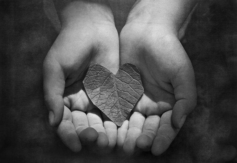 Hands Holding Leaf Heart