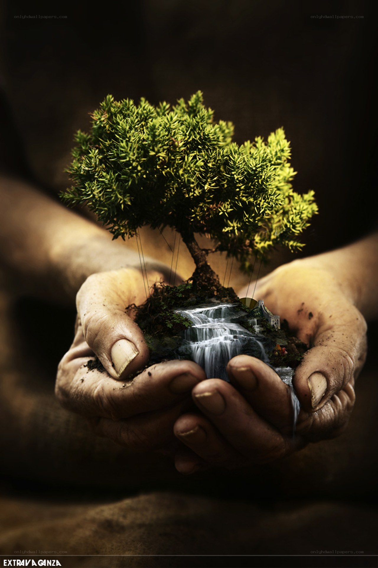 hands holding miniature landscape