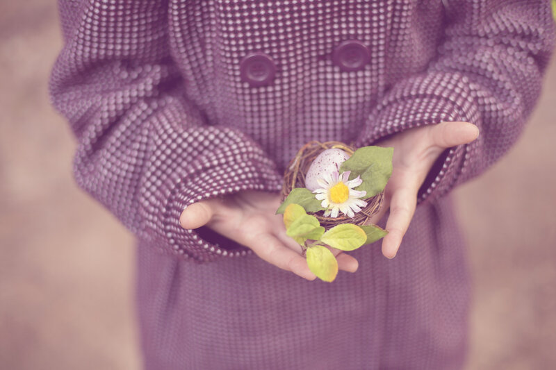 Hands Holding Nest