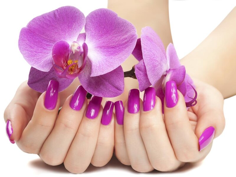 Hands Holding Orchid
