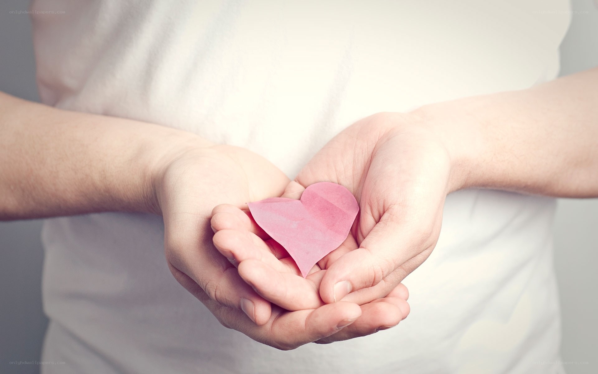 hands holding paper heart