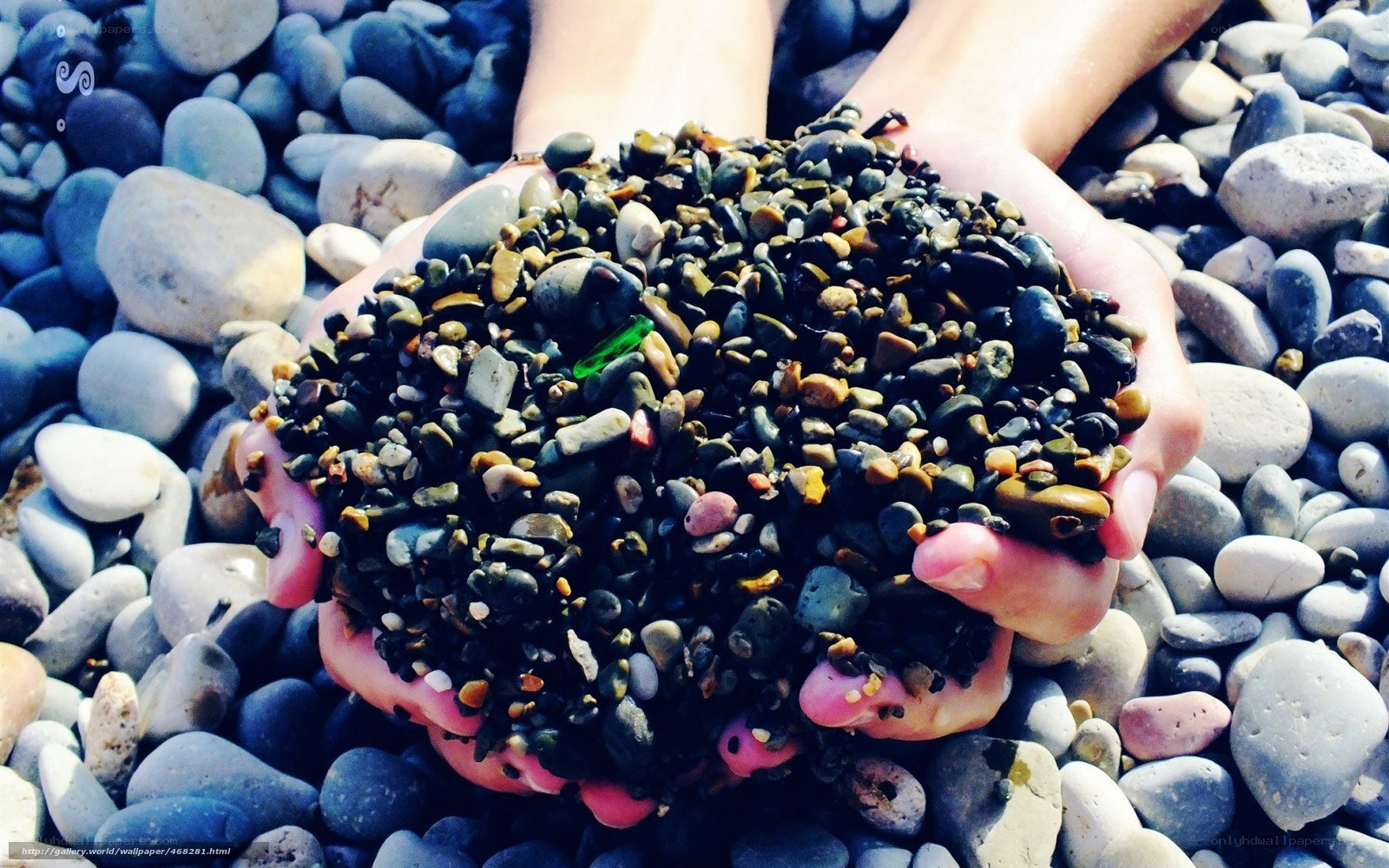 hands holding pebbles on beach
