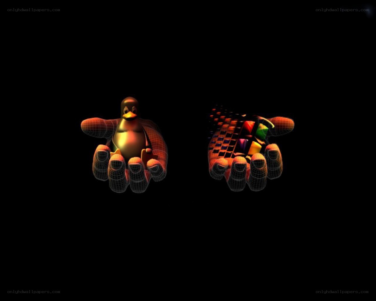 hands holding penguin and cube