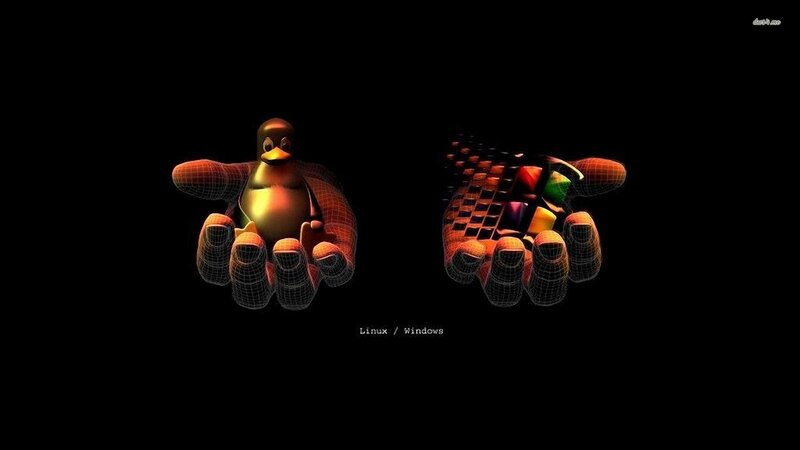 Hands Holding Penguin and Keyboard