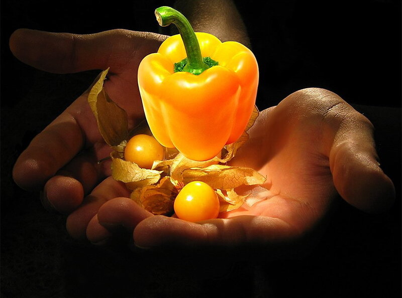 Hands holding peppers and berries