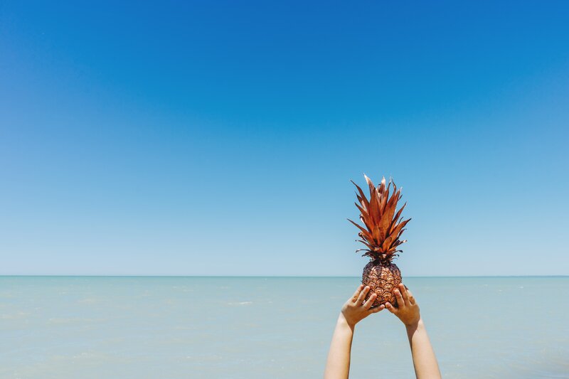 Hands Holding Pineapple