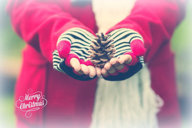 Hands Holding Pinecone