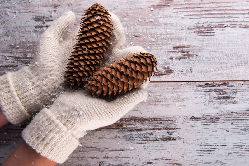 Hands Holding Pinecones