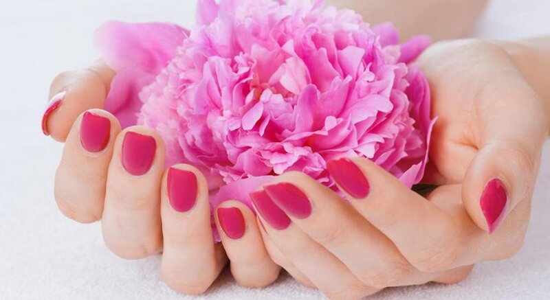 Hands Holding Pink Flower — Serene