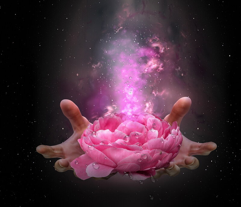 Hands Holding Pink Flower