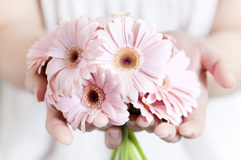 Hands Holding Pink Flowers — Serene
