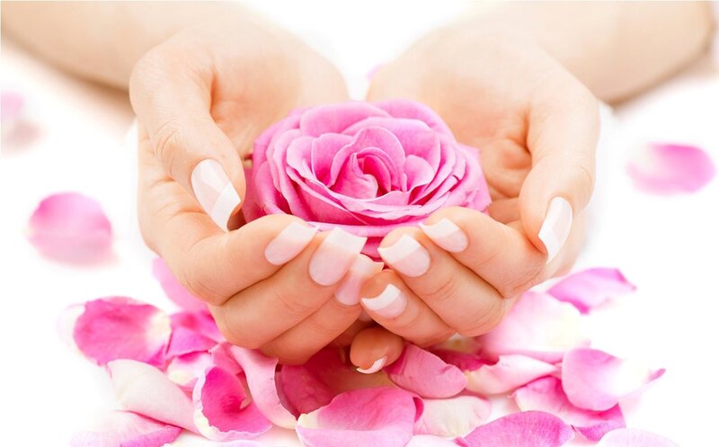 Hands Holding Pink Rose — Serene, Photograph, Petals