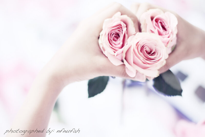 Hands Holding Pink Roses — Serene