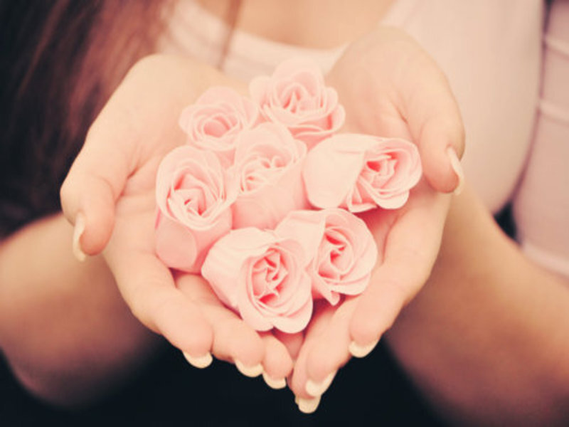 Hands Holding Pink Roses