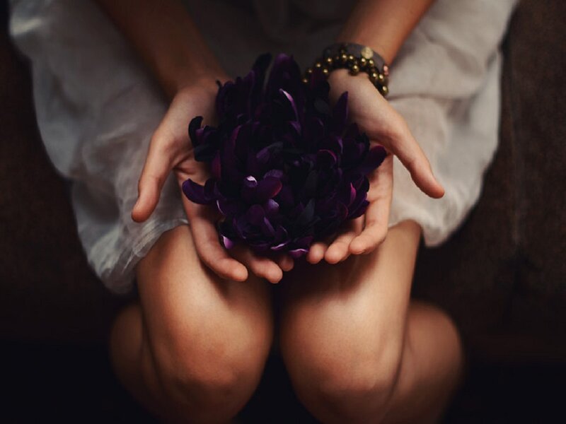 Hands Holding Purple Flower