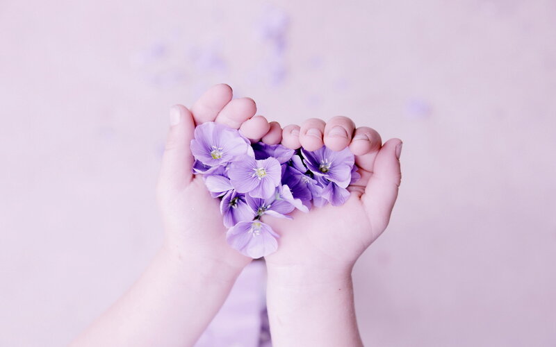 Hands Holding Purple Flowers — Serene