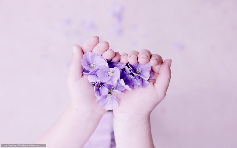 hands holding purple flowers