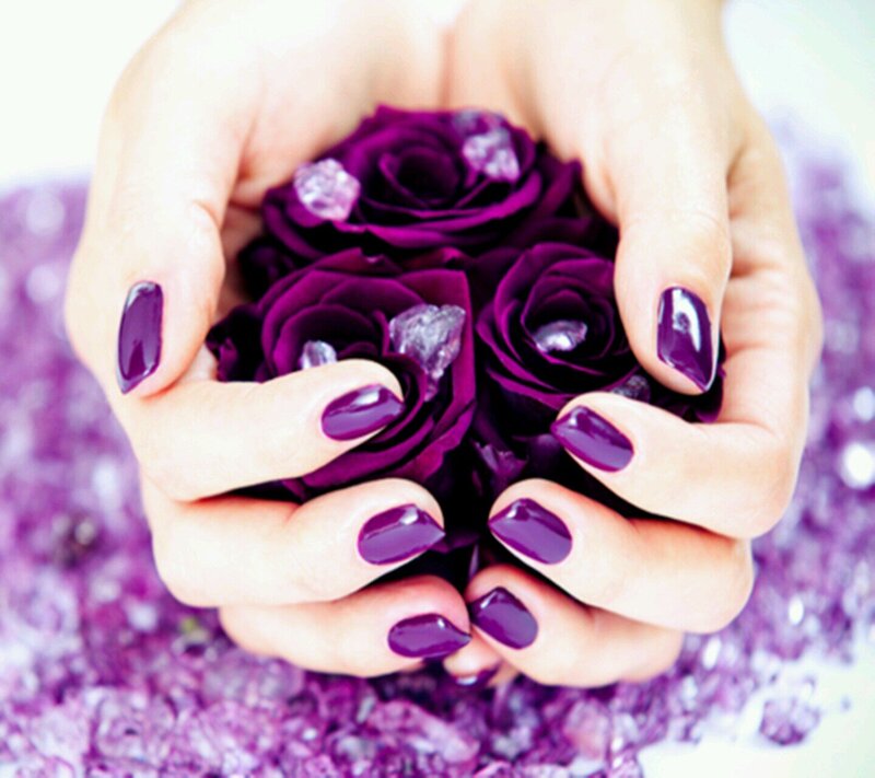 Hands Holding Purple Roses