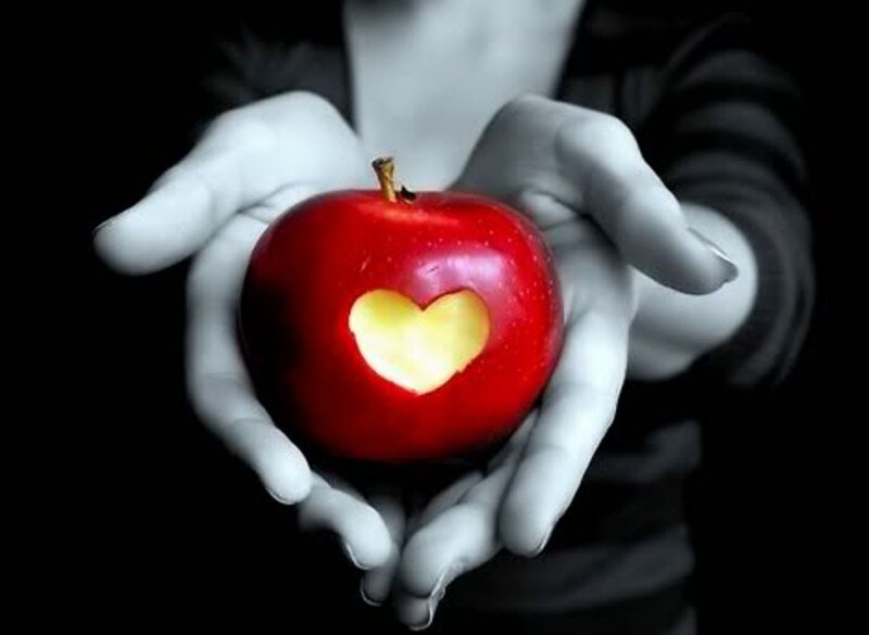 Hands Holding Red Apple — Dramatic