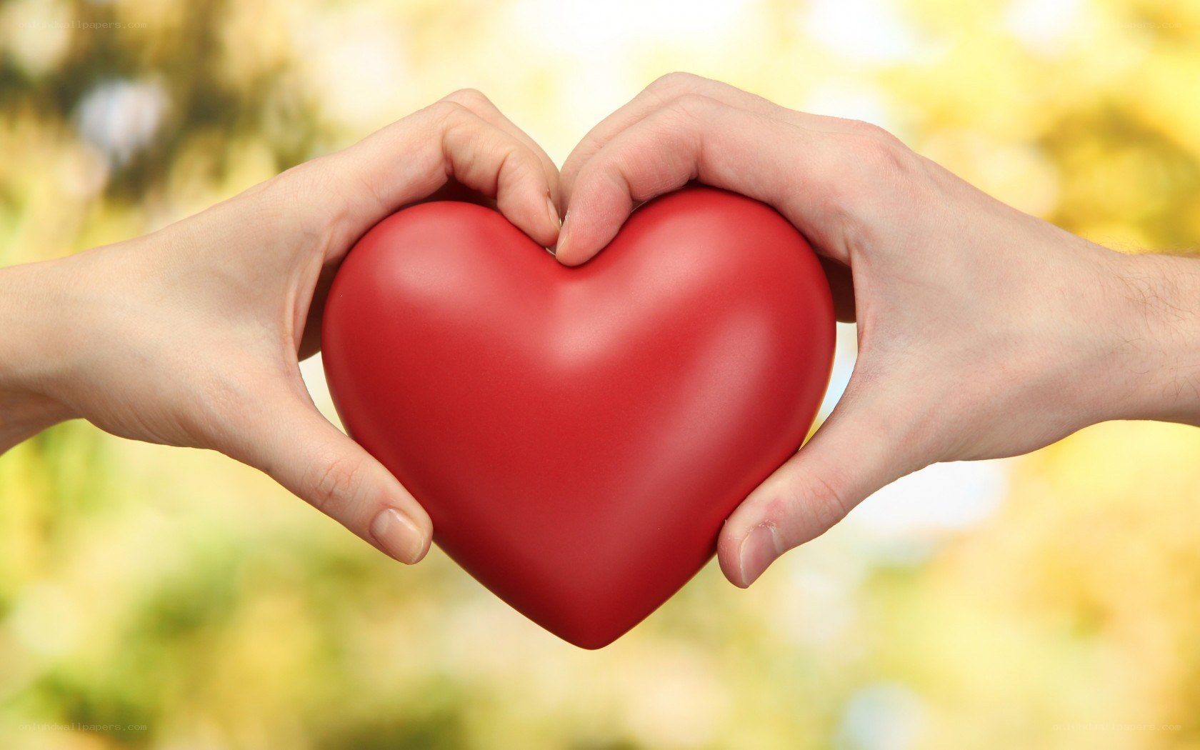 hands holding red heart