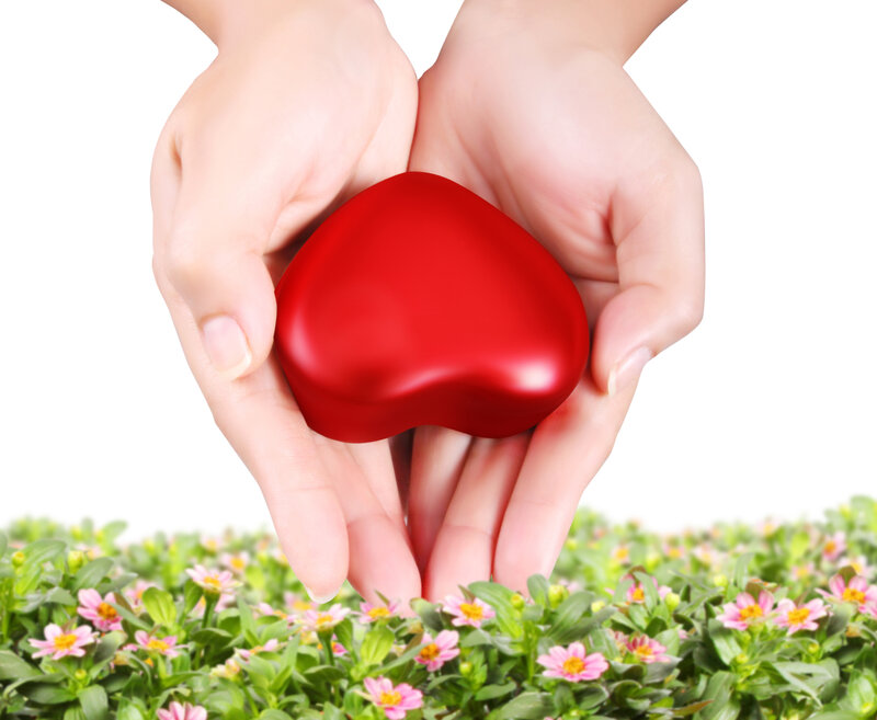 Hands Holding Red Heart — Calm, Photograph, Flowers