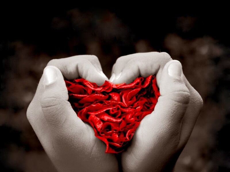 Hands Holding Red Heart — Dramatic, Photograph