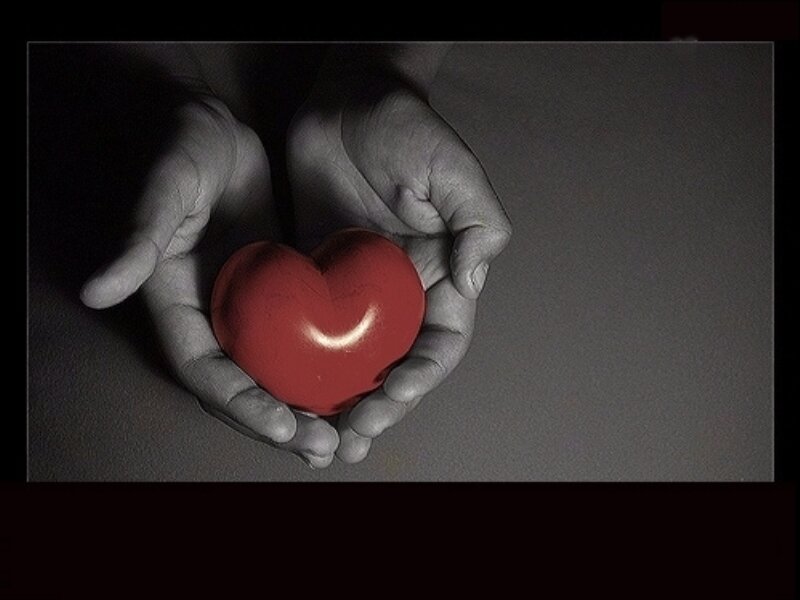 Hands Holding Red Heart — Dramatic