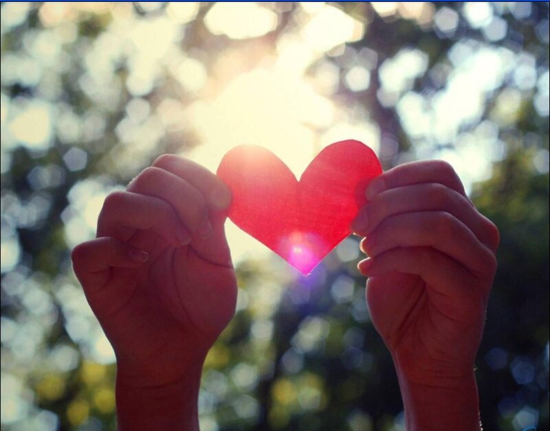 Hands Holding Red Heart — Serene, Afternoon, Photograph, Sunlight, Trees