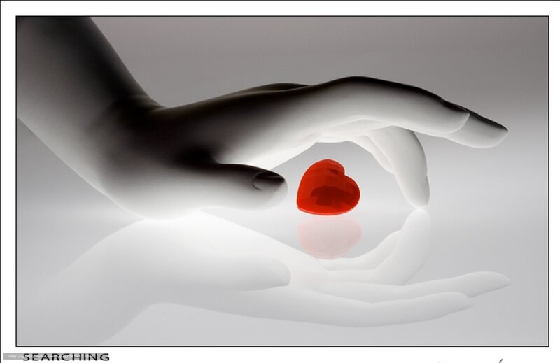 Hands Holding Red Heart — White, Serene
