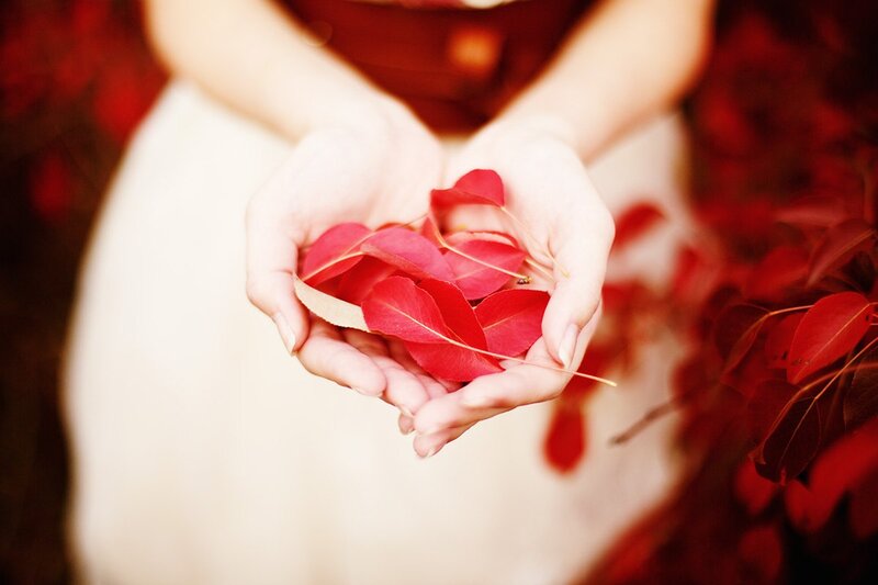 Hands Holding Red Leaves — Serene