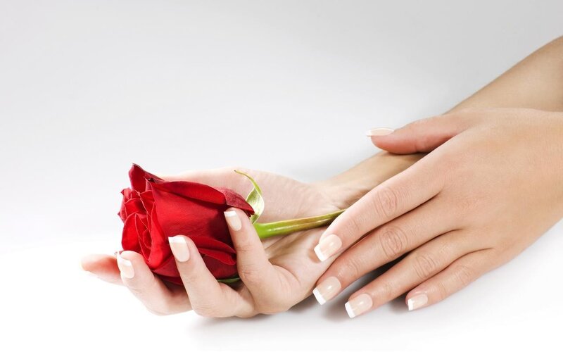 hands holding red rose