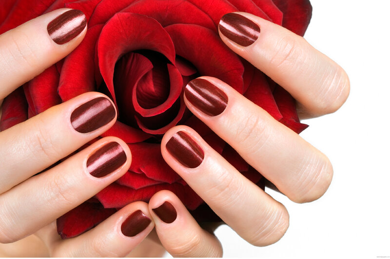 Hands Holding Red Rose — Calm, Photograph, Nails