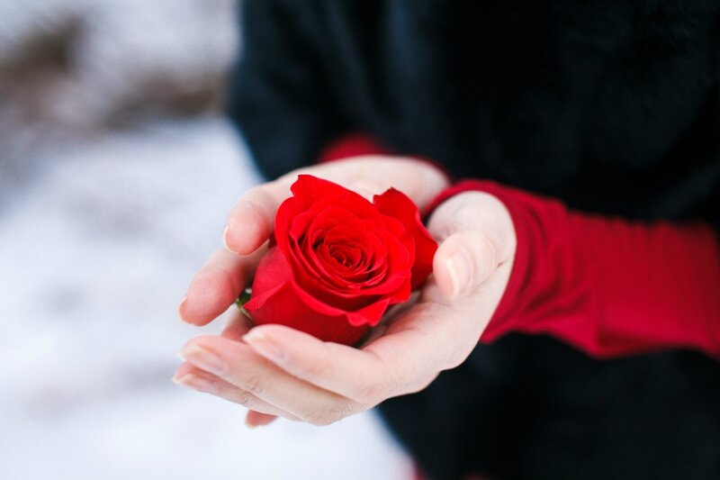 Hands Holding Red Rose — Calm, Winter