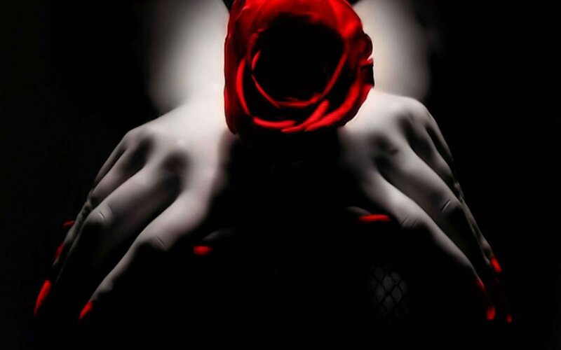 Hands Holding Red Rose — Dramatic, Digital Art, Dark Background
