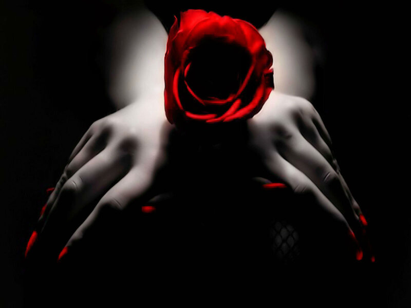 Hands Holding Red Rose — Dramatic, Digital Art