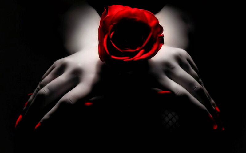 Hands Holding Red Rose — Dramatic, Night, Digital Art