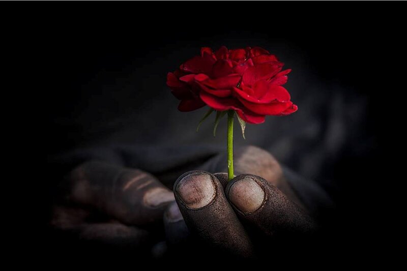 Hands Holding Red Rose — Dramatic, Photograph, Dark Background