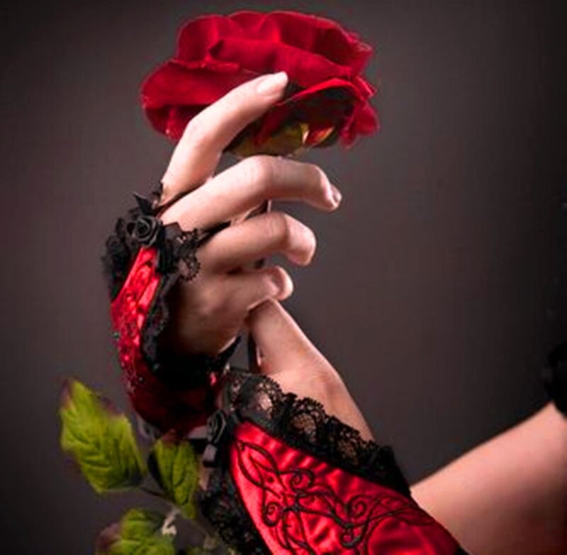 Hands Holding Red Rose — Dramatic, Photograph, Gloves
