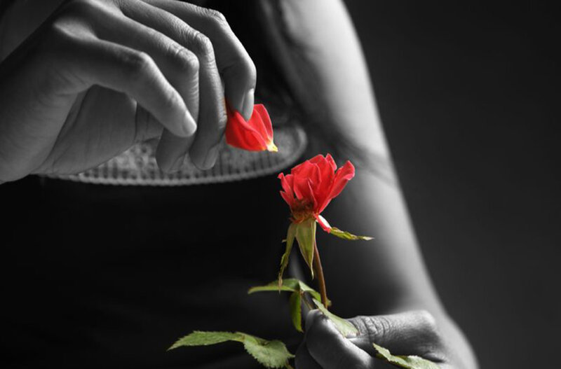 Hands Holding Red Rose — Dramatic, Photograph, Hand, Petal
