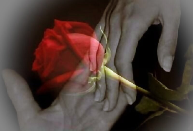 Hands Holding Red Rose — Dramatic, Photograph, Hand