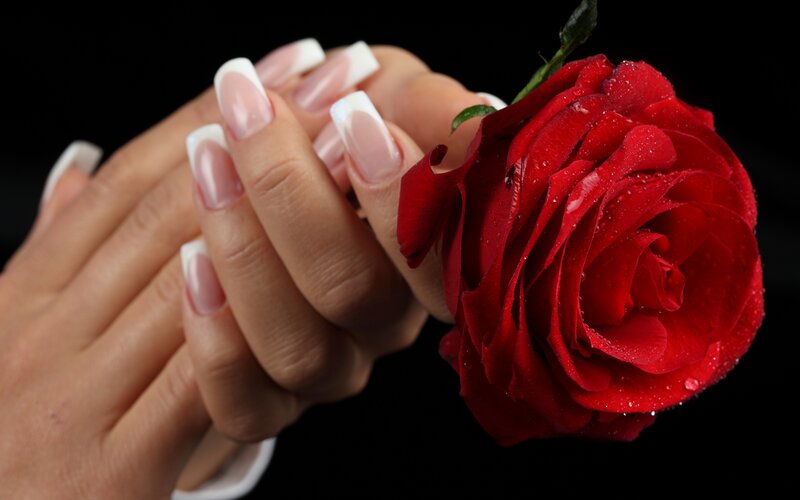 Hands Holding Red Rose — Dramatic, Photograph, Nails, Black Background