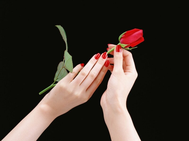 Hands Holding Red Rose — Dramatic, Photograph, Nails, Leaves
