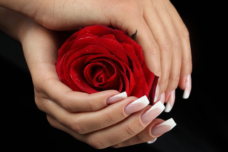 Hands Holding Red Rose — Dramatic