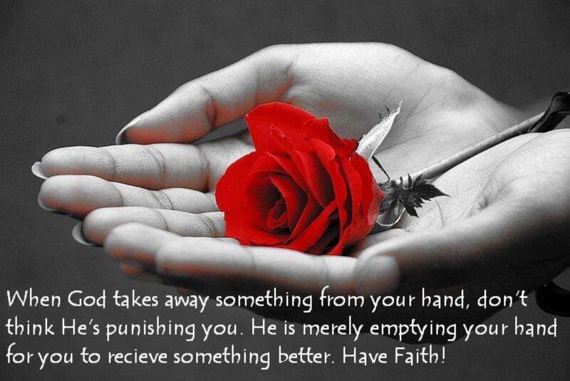 Hands Holding Red Rose — Reflective