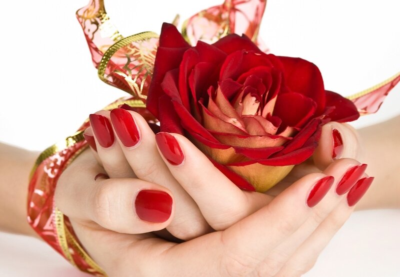 Hands Holding Red Rose — Romantic, Photograph, Ribbon