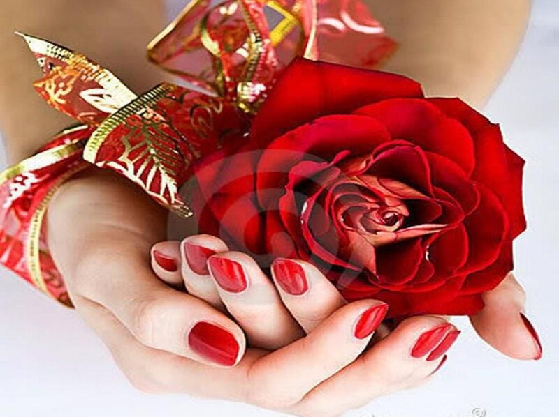 Hands Holding Red Rose — Romantic, Photograph