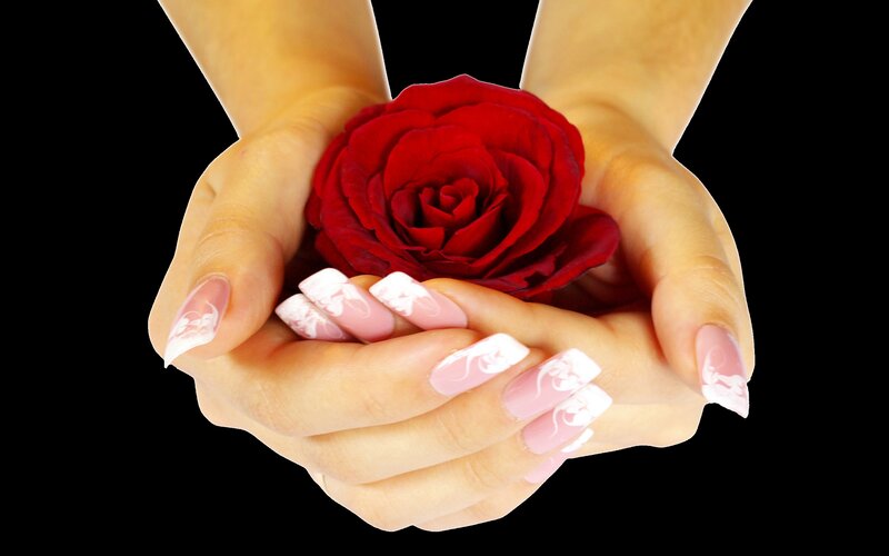 Hands Holding Red Rose — Romantic