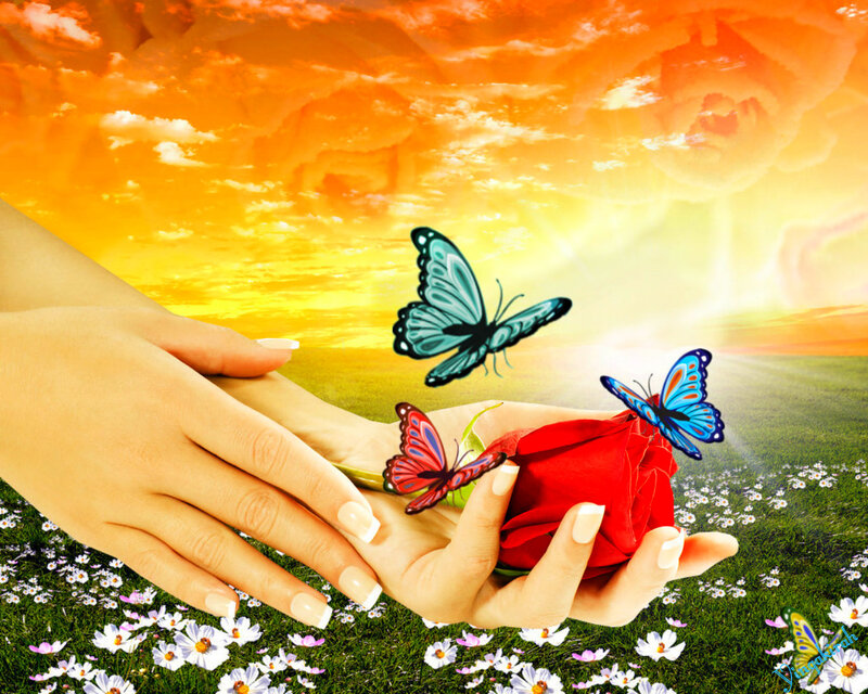 Hands Holding Red Rose — Serene, Sunset