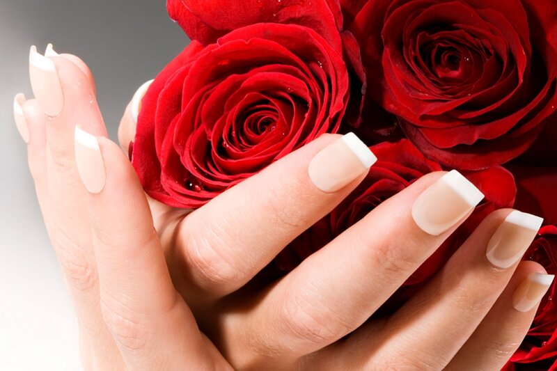 Hands Holding Red Roses — Serene